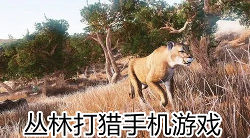 丛林打猎手机游戏