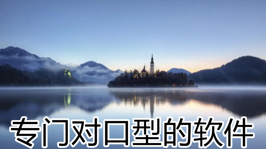 专门对口型的软件