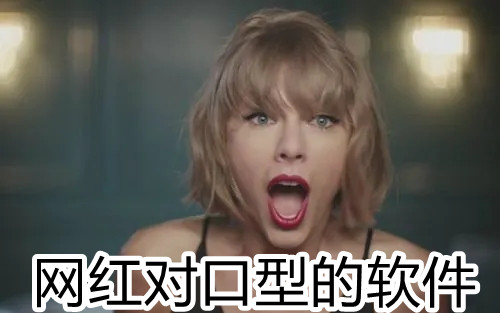 网红对口型的软件