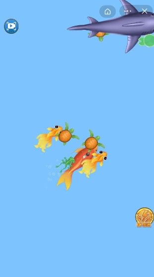 召唤神龙2万宁(1)