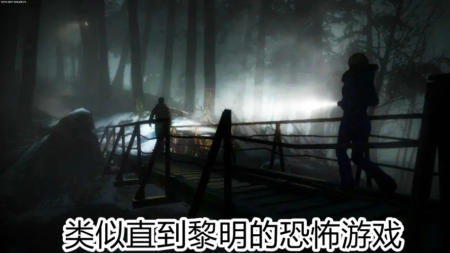 类似直到黎明的恐怖游戏
