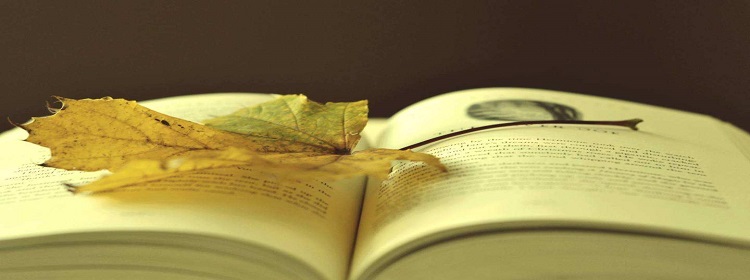 英文在线翻译软件