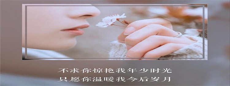 2022最新壁纸小清新