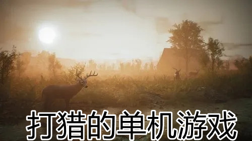 打猎的单机游戏