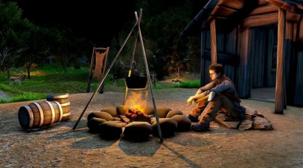 野外海岛生存(2)