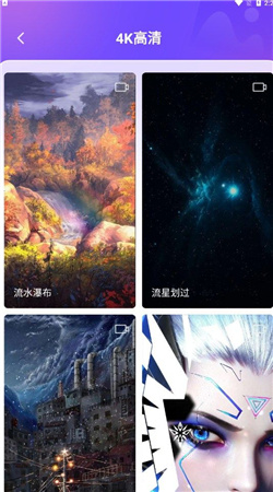 皮皮桌面壁纸(3)