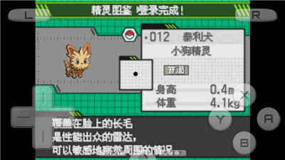 口袋妖怪白中文版(1)