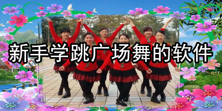 新手学跳广场舞的软件