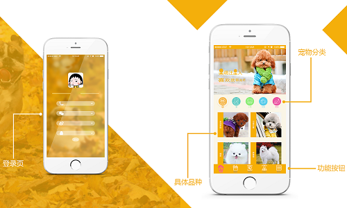 买宠物的平台app