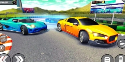 警车追逐竞速赛(3)