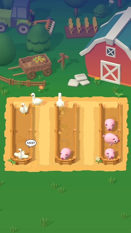 动物排序分类(1)