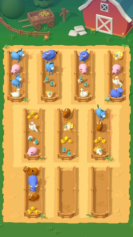 动物排序分类(2)