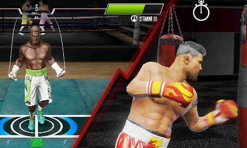 真实拳击2