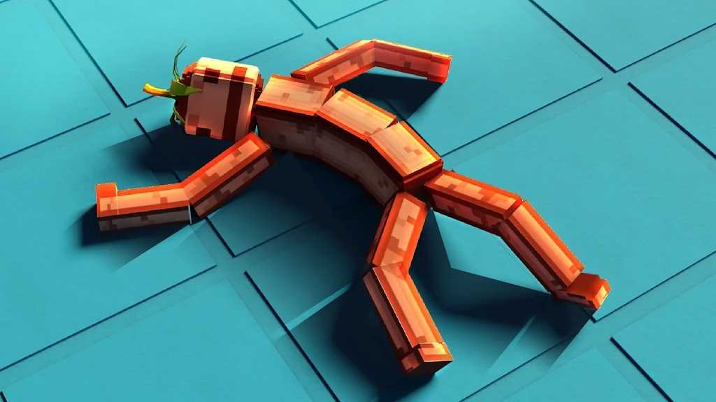 3D布娃娃游乐场中文版(2)