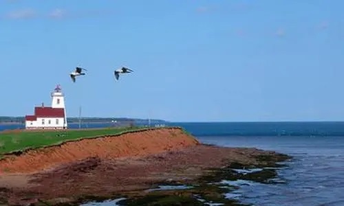 淘金城镇官网版游戏大全