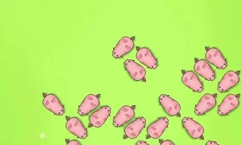 救救这只猪小游戏