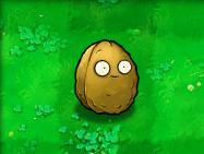 植物大战僵尸49个植物介绍是什么？[植物大战僵尸]