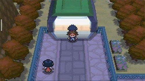 口袋妖怪超透黑2(3)