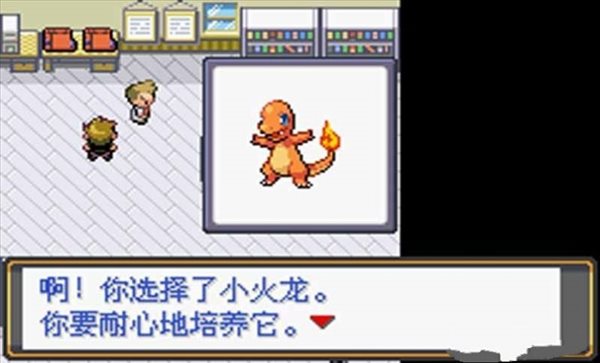 口袋妖怪火红随机版(2)