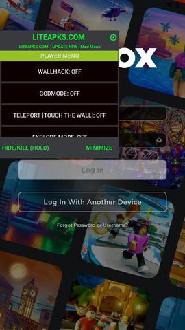 罗布乐思手机版(3)