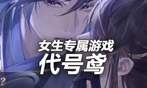 代号鸢各种版本