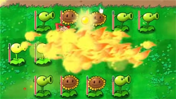 植物大战僵尸钱版(2)