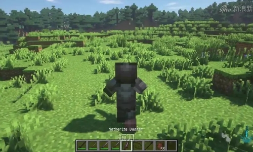 生存战争手机直装版模组