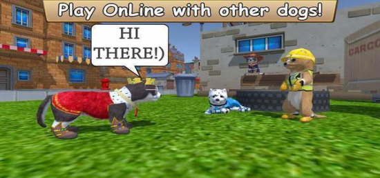 美国zoom动物国际版(2)