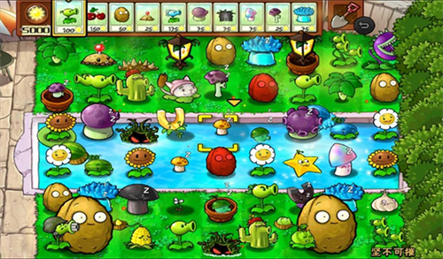 植物大战僵尸随机植物版本手机(3)