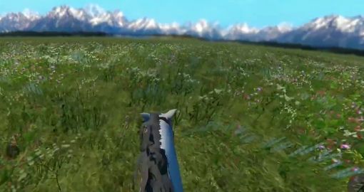 今天你骑马了吗(1)