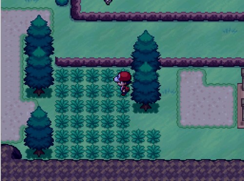 宝可梦无限融合中文版(2)