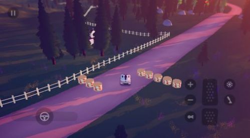 黄金拉力竞速赛(3)