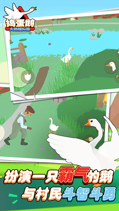 大鹅模拟器双人版(4)