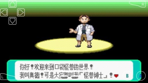 口袋妖怪天龙的堕落(3)