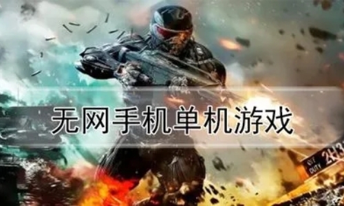 无网络的单机游戏