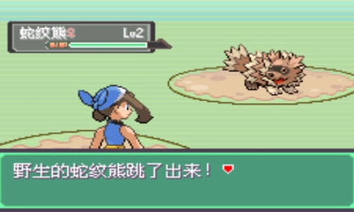 口袋妖怪漆黑的魅影版本