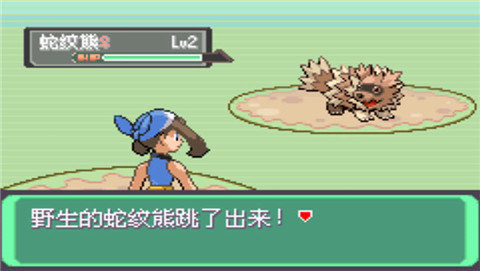 口袋妖怪漆黑的魅影4.5(2)