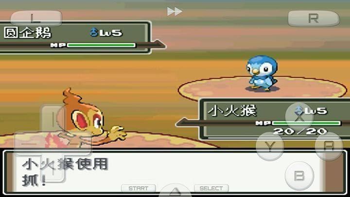 口袋妖怪白金版手机版(1)