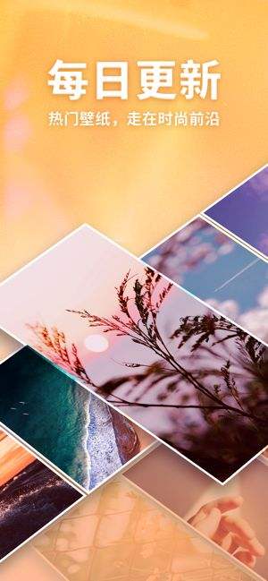 口袋壁纸app安卓版(3)