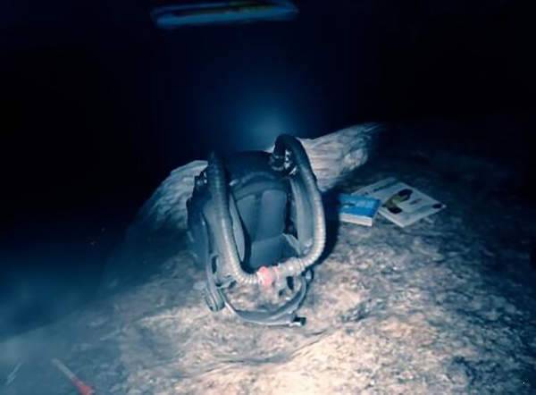 森林之子手机版(2)