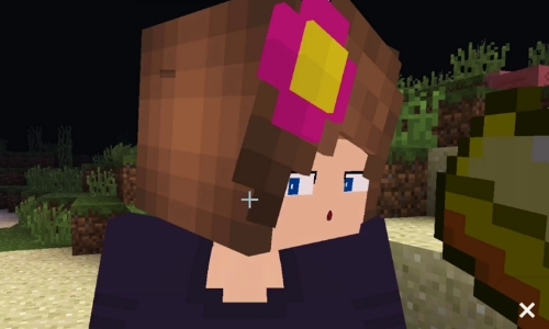 我的世界国际服珍妮模组