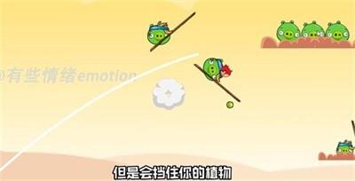 愤怒的植物大战僵尸猪(3)