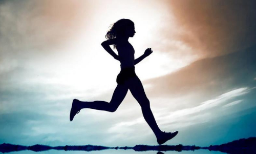 运动健身的软件