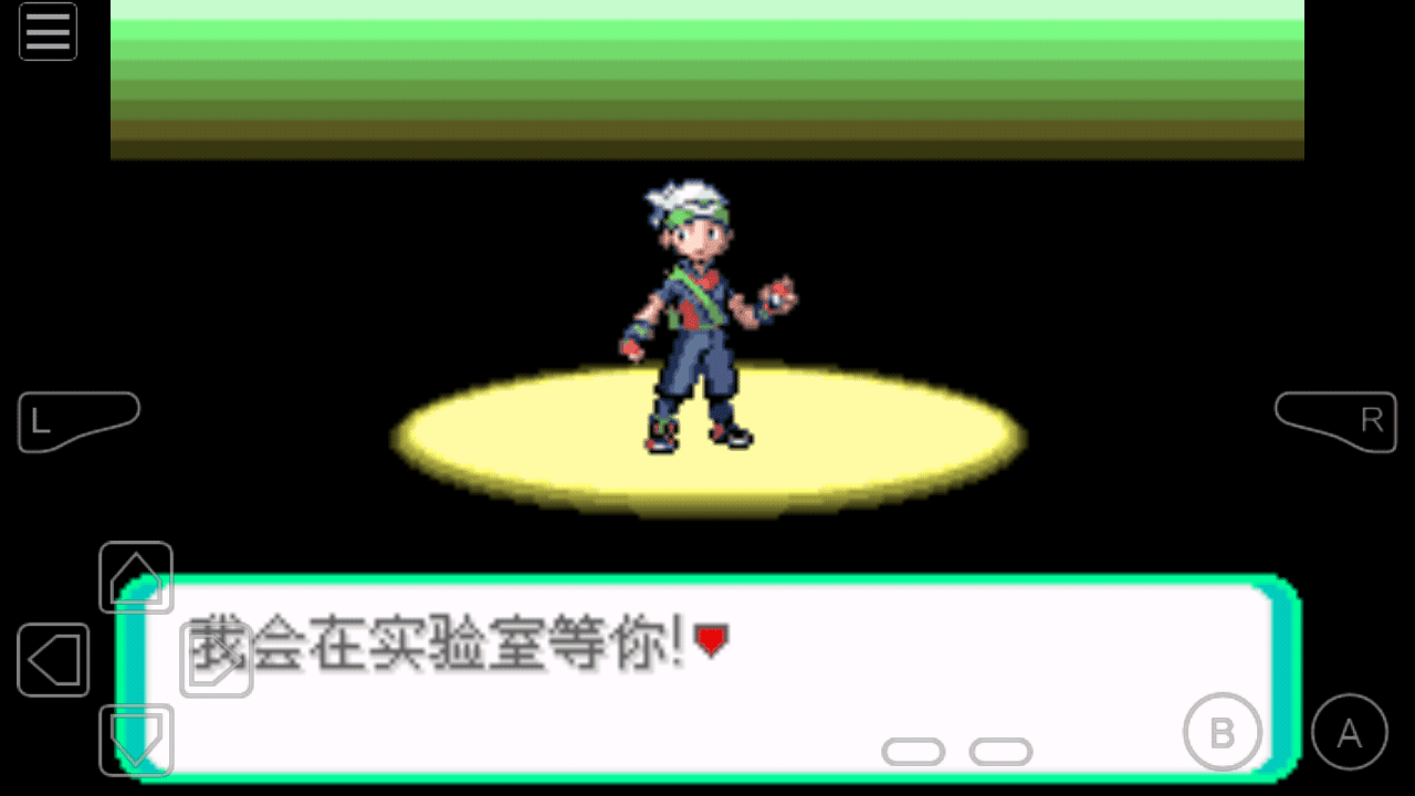 宝可梦rouge汉化版(2)