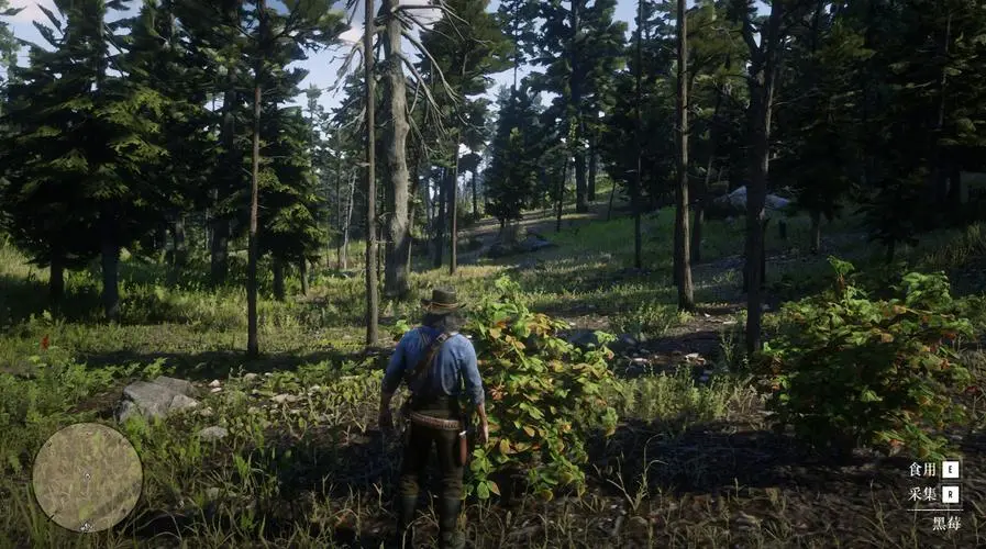 荒野大镖客2修改器风灵月影(2)