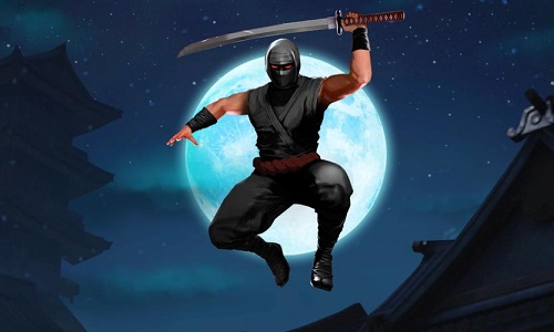 好玩的忍者单机游戏