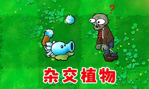 pvz杂交版游戏合集