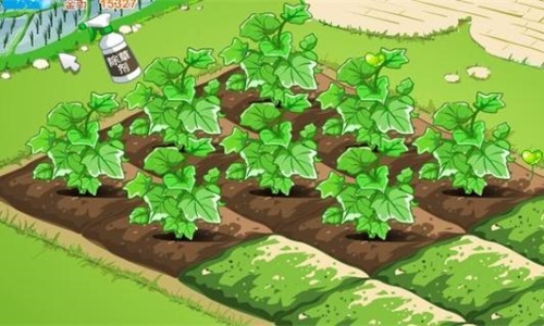 可以模拟种菜的游戏