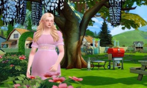 体验不同人生的游戏