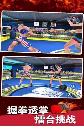 拳击明星对决(2)